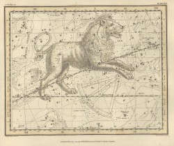 Лев на Звездном атласе А.Джеймсона, 1822 г.