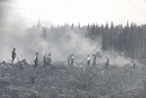 Подсечно-огневое земледелие в Финляндии (Kaskenpolttoa)