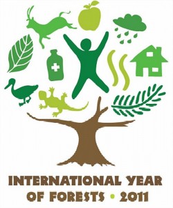 Логотип Международного года лесов