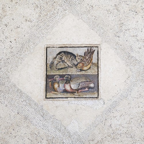 Mosaic from the triclinium of a suburban villa in the Cecchignola area. 1st century BC