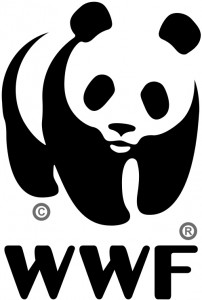 Символом WWF является большая панда