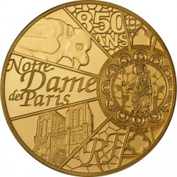 France 2013. 50 euro. Notre Dame de Paris