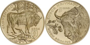 Slovakia 2024. 5 euro. European bison
