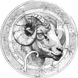 Austria 2025 20 euro Capricornus rev